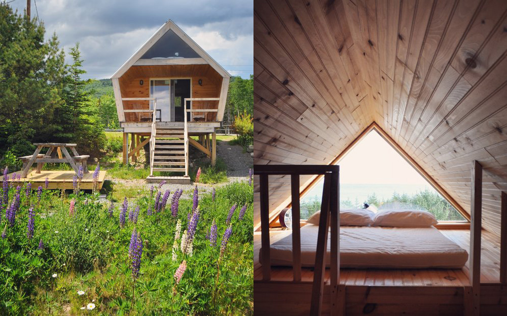 Moose Camping Cabins