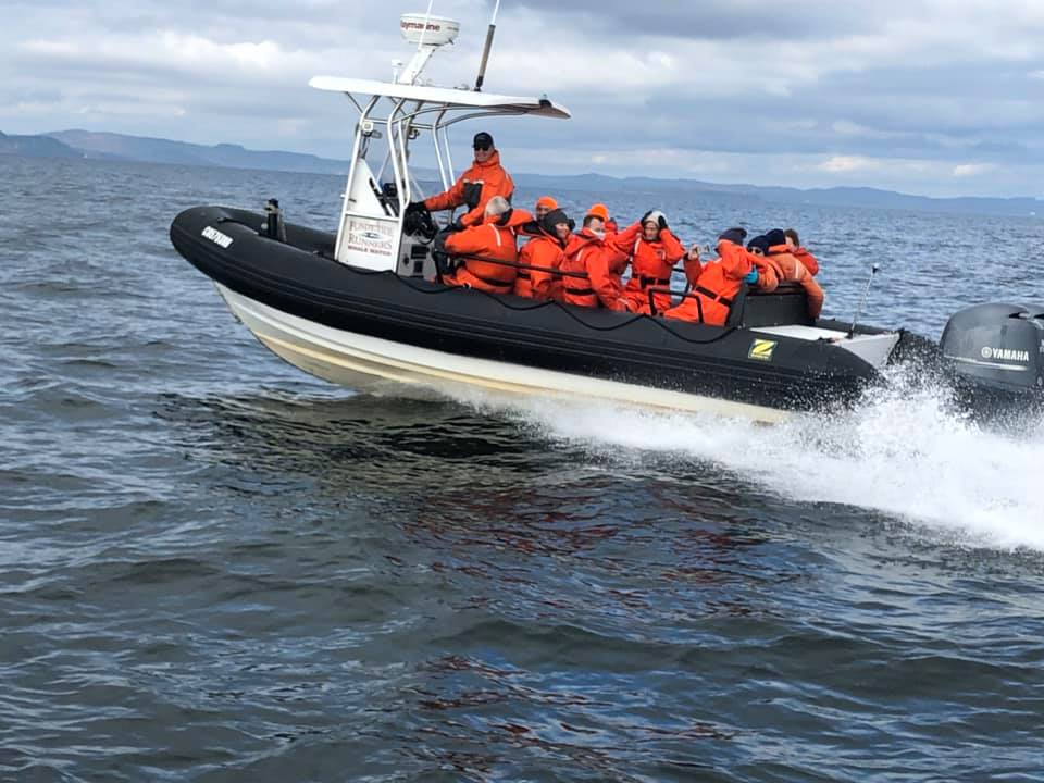 Zodiac whale watching