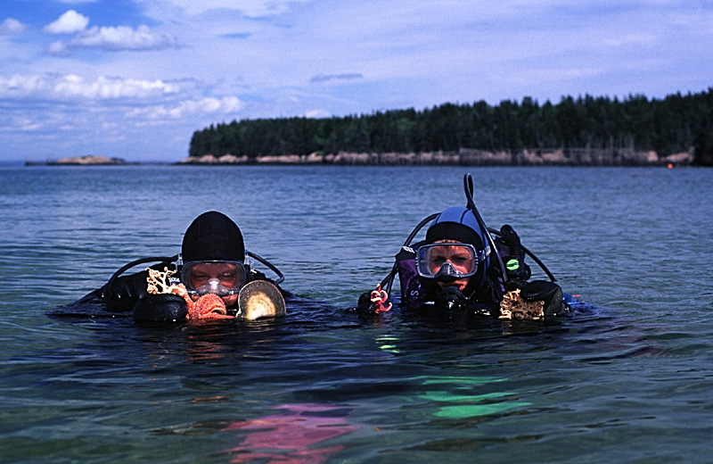 Deer Island Dive