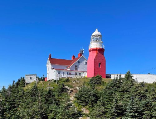 How to Spend 3 Incredible Days in Twillingate